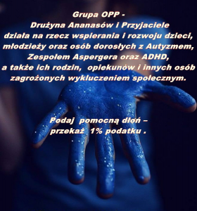Drużyna Ananasów i Przyjaciele_Opis działalnosci.tif